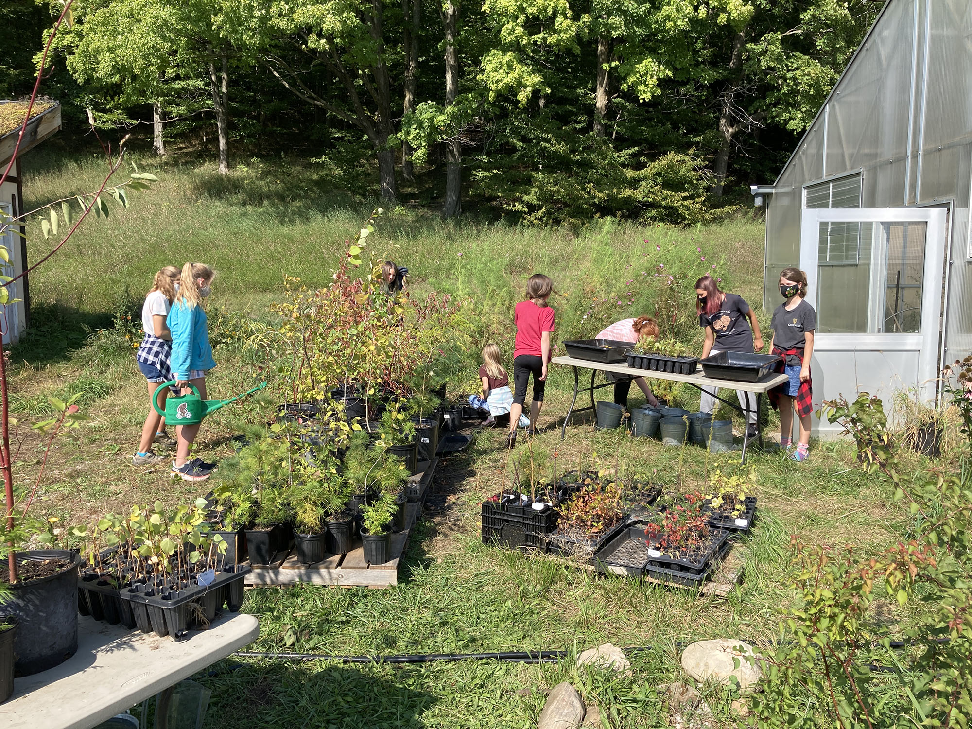 greenspire summer camp gardening activity